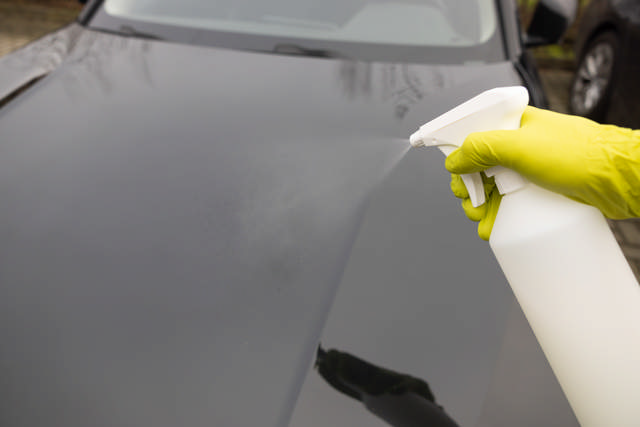 LSP 30 - Handverstuiver 1l