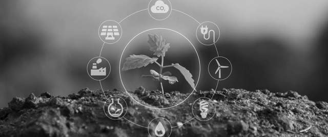Stolz auf die ISO 14001-Zertifizierung