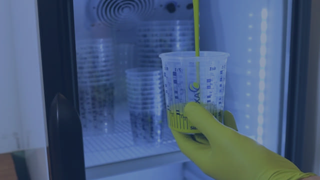 Vasos de mezcla impresos – plástico resistente al frío